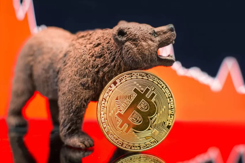 业内人士提示：切勿将所有资金投入单一加密资产